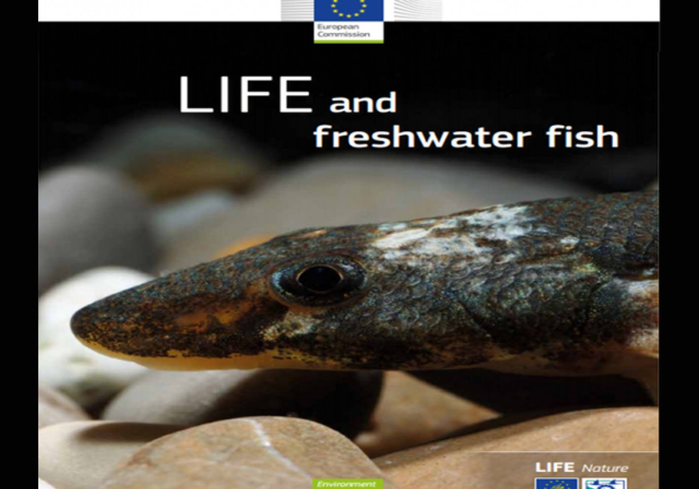 Freshwater Fish Report 