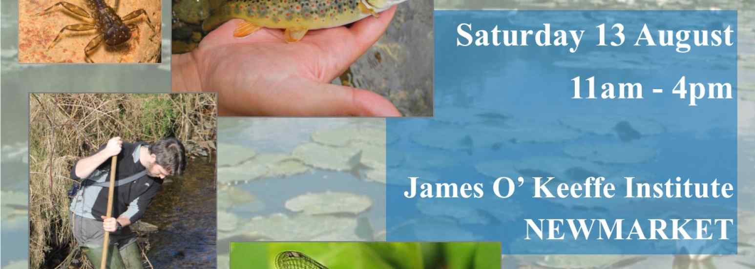 Freshwater ecology workshop