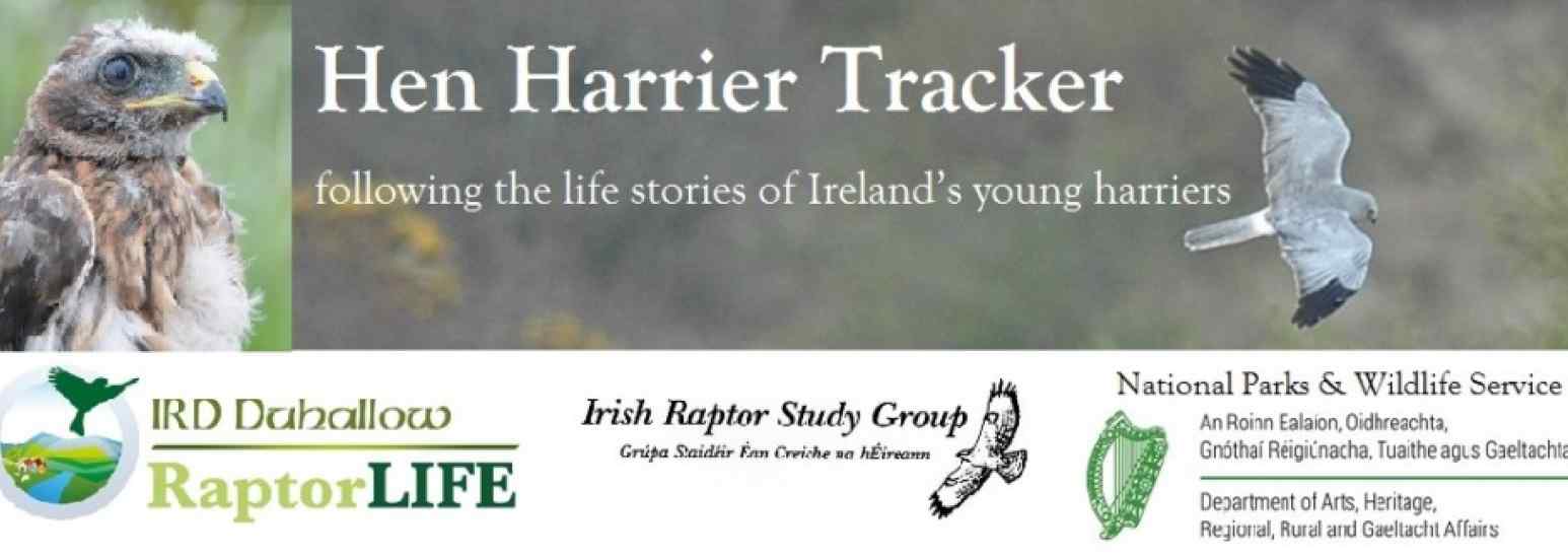 Hen Harrier Tracker