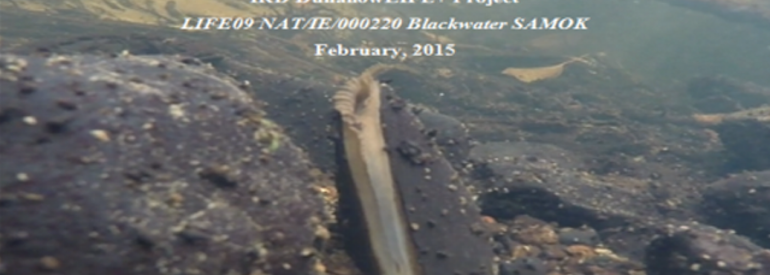 Conservation Plan for the upper River Blackwater SAC