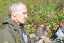 Stephen Murphy with 1st sat tagged harrier in the Ballyhouras