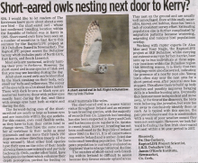 Article in the Kerryman