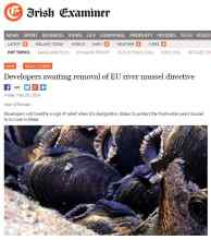 Developers awaiting removal of EU river mussel directive