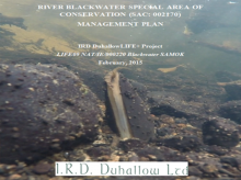 Conservation Plan for the upper River Blackwater SAC