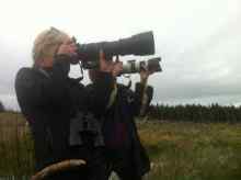 Monitoring