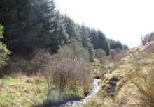 IRD Duhallow LIFE feature on Radio Kerry